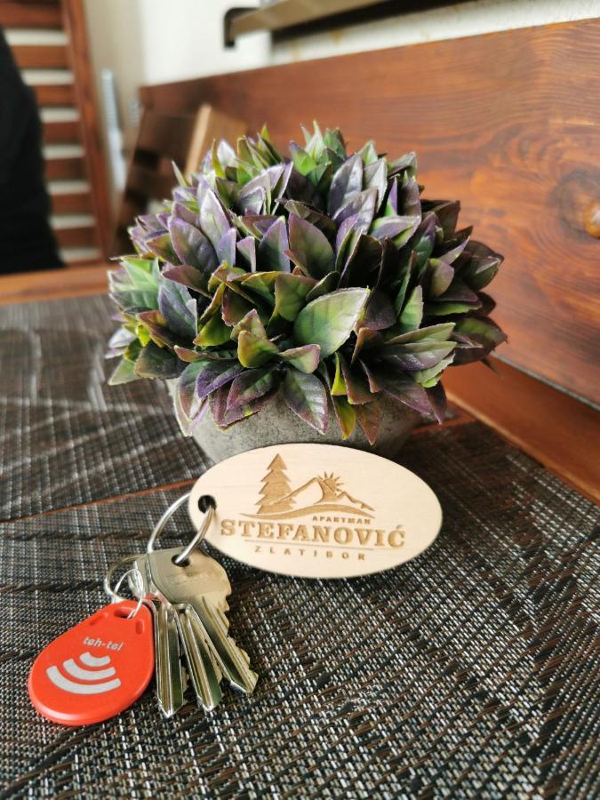 Apartman Stefanovic Vila Darija Lux Златибор Екстериор снимка