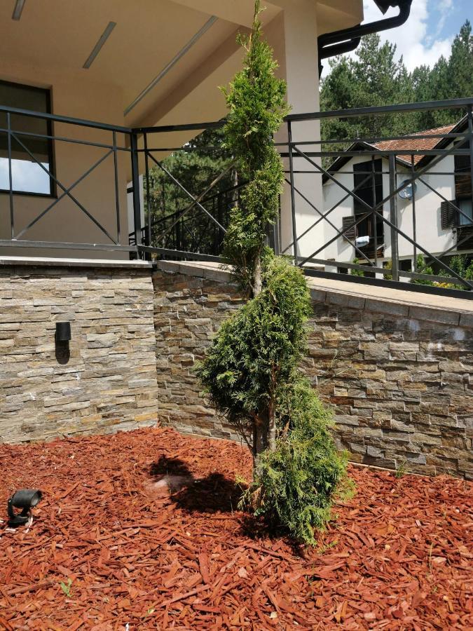 Apartman Stefanovic Vila Darija Lux Златибор Екстериор снимка